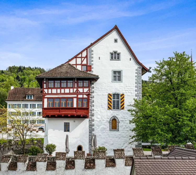 Die Schweizer Schlösser